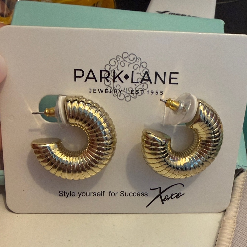 Park Lane Gold and Silver Textured Earrings